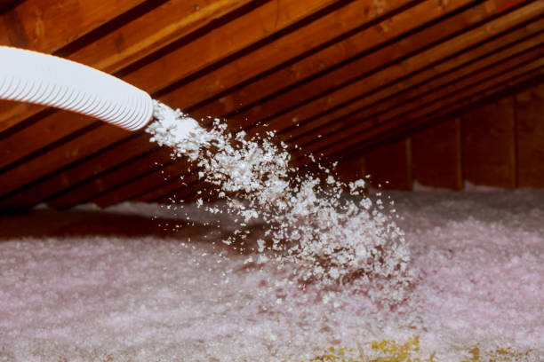 Best Cellulose Insulation  in Texkana, AR