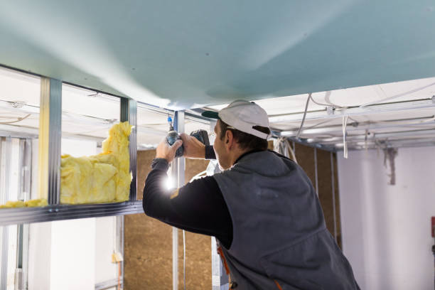 Best Cellulose Insulation  in Texkana, AR