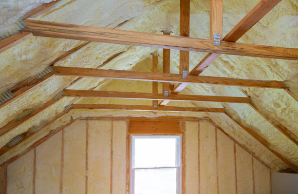 Best Insulation Inspection Services  in Texkana, AR