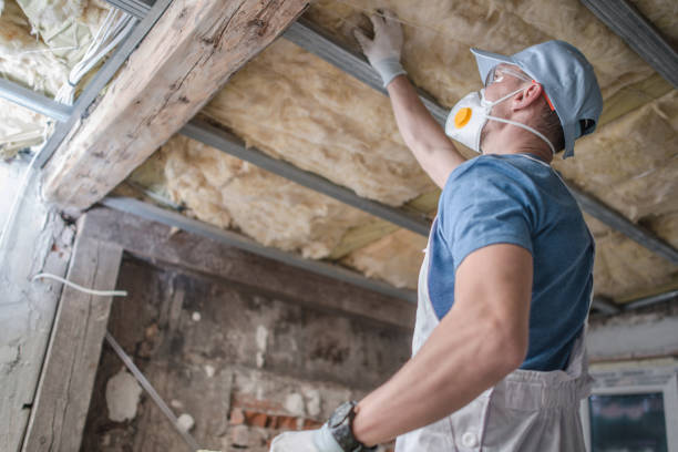 Best Insulation Inspection Services  in Texkana, AR